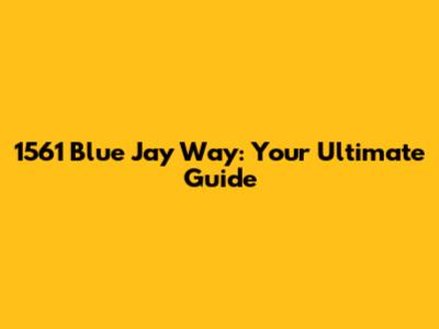 1561 Blue Jay Way: Your Ultimate Guide