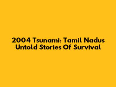 2004 Tsunami: Tamil Nadu's Untold Stories Of Survival