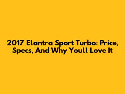2017 Elantra Sport Turbo: Price, Specs, And Why You'll Love It