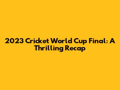 2023 Cricket World Cup Final: A Thrilling Recap
