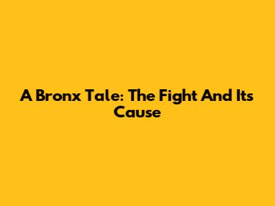 A Bronx Tale: The Fight And Its Cause