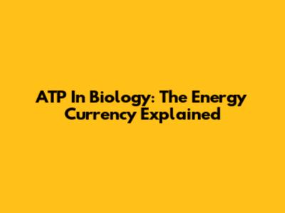 ATP In Biology: The Energy Currency Explained