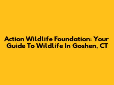 Action Wildlife Foundation: Your Guide To Wildlife In Goshen, CT