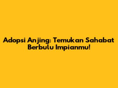 Adopsi Anjing: Temukan Sahabat Berbulu Impianmu!
