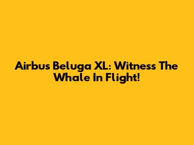 Airbus Beluga XL: Witness The Whale In Flight!