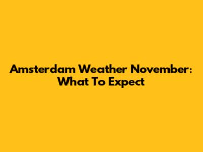 Amsterdam Weather November: What To Expect