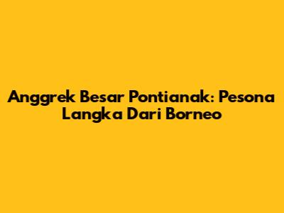 Anggrek Besar Pontianak: Pesona Langka Dari Borneo