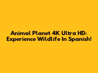 Animal Planet 4K Ultra HD: Experience Wildlife In Spanish!