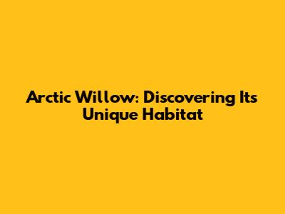Arctic Willow: Discovering Its Unique Habitat