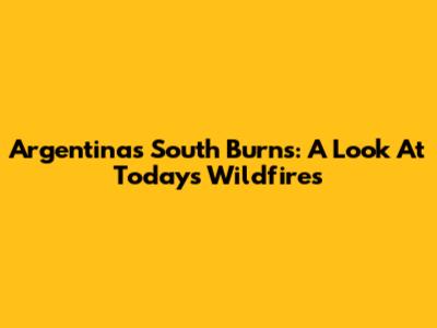 Argentina's South Burns: A Look At Today's Wildfires