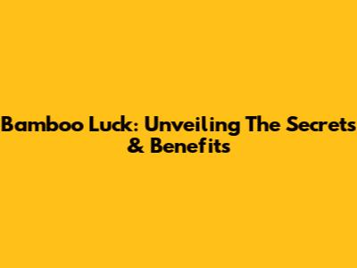 Bamboo Luck: Unveiling The Secrets & Benefits