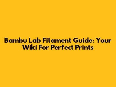 Bambu Lab Filament Guide: Your Wiki For Perfect Prints