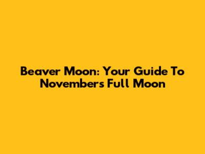 Beaver Moon: Your Guide To November's Full Moon