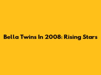 Bella Twins In 2008: Rising Stars