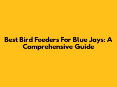 Best Bird Feeders For Blue Jays: A Comprehensive Guide