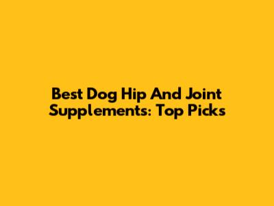 Best Dog Hip And Joint Supplements: Top Picks