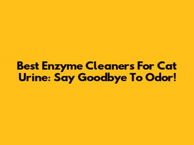 Best Enzyme Cleaners For Cat Urine: Say Goodbye To Odor!