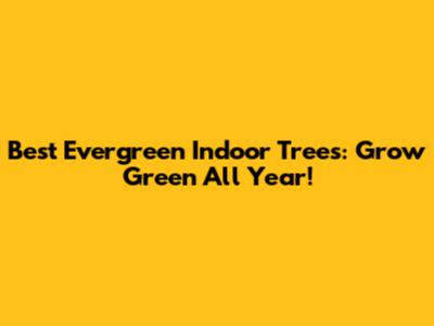 Best Evergreen Indoor Trees: Grow Green All Year!
