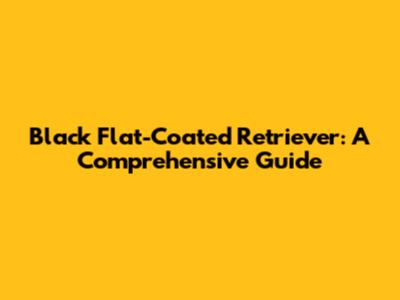 Black Flat-Coated Retriever: A Comprehensive Guide