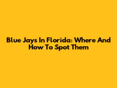 Blue Jays In Florida: Where And How To Spot Them