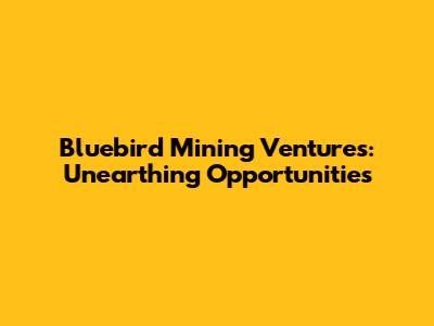 Bluebird Mining Ventures: Unearthing Opportunities