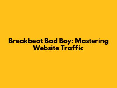 Breakbeat Bad Boy: Mastering Website Traffic