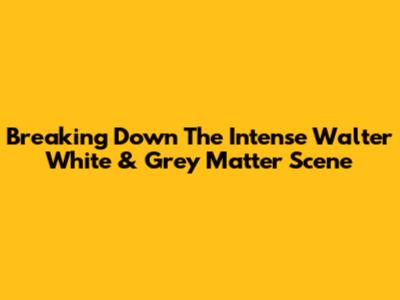 Breaking Down The Intense Walter White & Grey Matter Scene