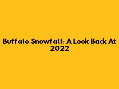 Buffalo Snowfall: A Look Back At 2022