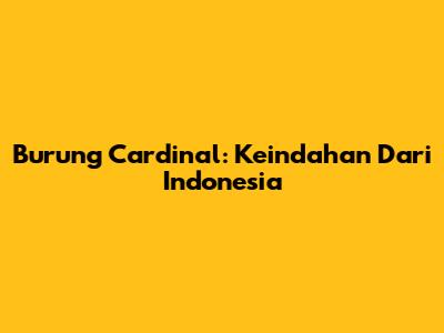 Burung Cardinal: Keindahan Dari Indonesia