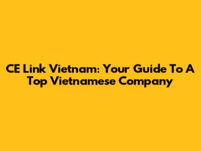 CE Link Vietnam: Your Guide To A Top Vietnamese Company