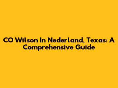 CO Wilson In Nederland, Texas: A Comprehensive Guide