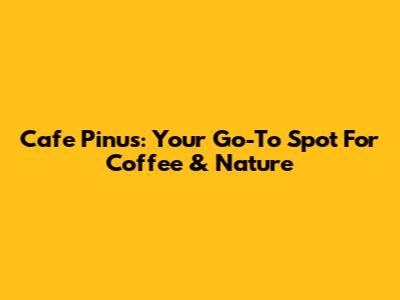 Cafe Pinus: Your Go-To Spot For Coffee & Nature