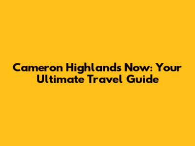 Cameron Highlands Now: Your Ultimate Travel Guide