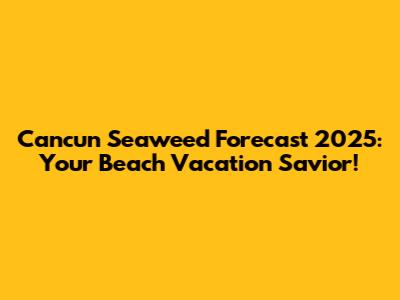 Cancun Seaweed Forecast 2025: Your Beach Vacation Savior!