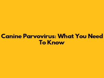 Canine Parvovirus: What You Need To Know
