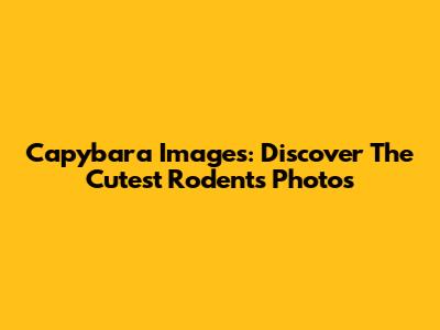 Capybara Images: Discover The Cutest Rodents Photos