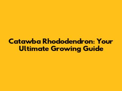 Catawba Rhododendron: Your Ultimate Growing Guide