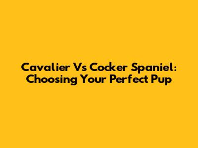 Cavalier Vs Cocker Spaniel: Choosing Your Perfect Pup