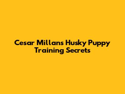 Cesar Millan's Husky Puppy Training Secrets