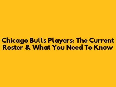 Chicago Bulls Players: The Current Roster & What You Need To Know
