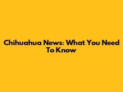 Chihuahua News: What You Need To Know