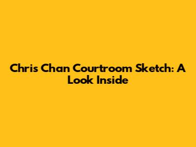 Chris Chan Courtroom Sketch: A Look Inside
