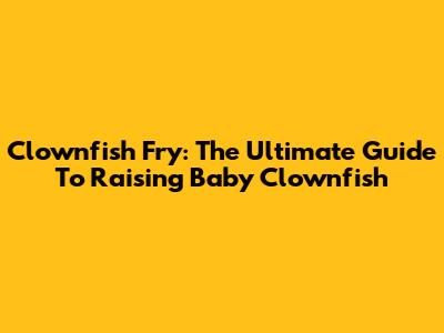 Clownfish Fry: The Ultimate Guide To Raising Baby Clownfish