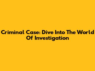 Criminal Case: Dive Into The World Of Investigation