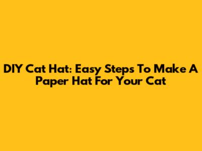 DIY Cat Hat: Easy Steps To Make A Paper Hat For Your Cat