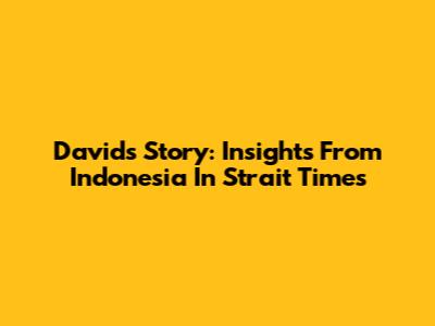David's Story: Insights From Indonesia In Strait Times