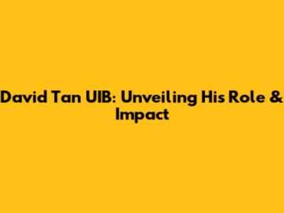 David Tan UIB: Unveiling His Role & Impact