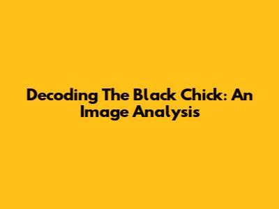 Decoding The Black Chick: An Image Analysis