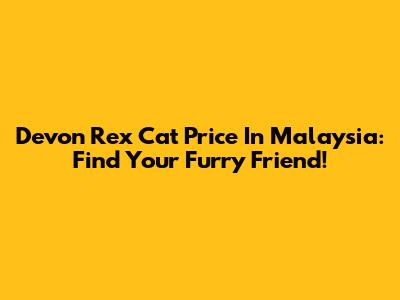 Devon Rex Cat Price In Malaysia: Find Your Furry Friend!