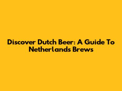 Discover Dutch Beer: A Guide To Netherlands Brews